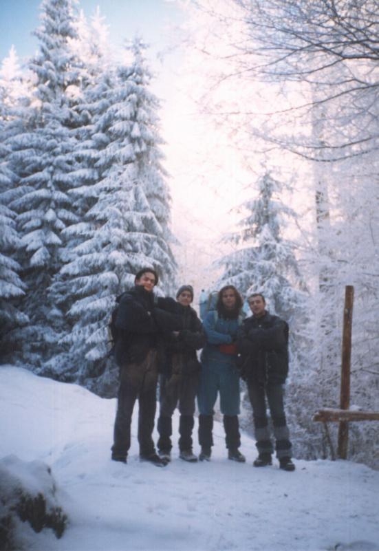 Image 1 of 25  -  183 kB